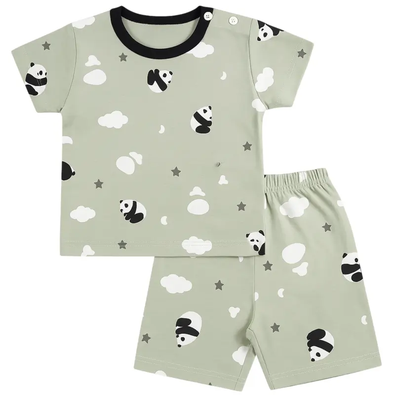 Unisex Baby Summer Outfit Set – Soft Cotton Cloud & Panda Print T-Shirt and Shorts 1 20250608 1132 Panda Pattern T Shirt remix 01jx777vqhevr9mr0t5dwj4szp Photoroom Baby Brisk
